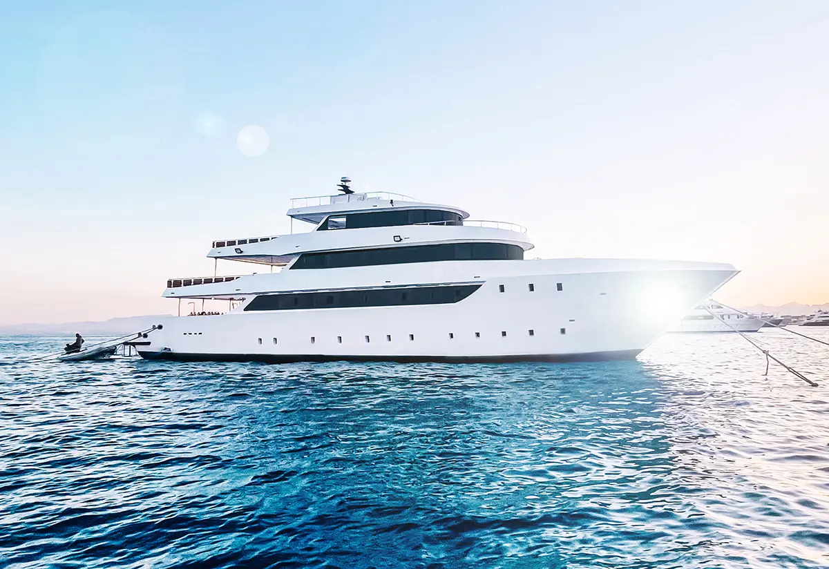 Foto del viaggio Wing Master Mar Rosso in Yacht · Maggio 2027